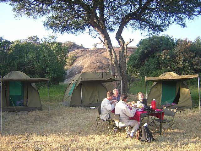 Budget & Camping Safaris